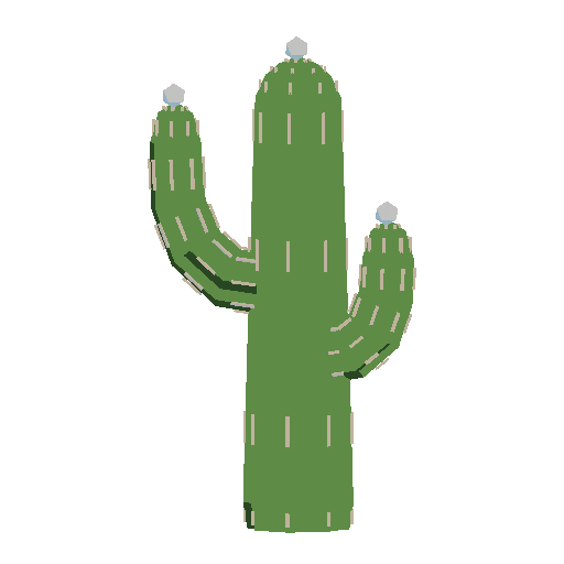 a low-poly saguaro, spinning